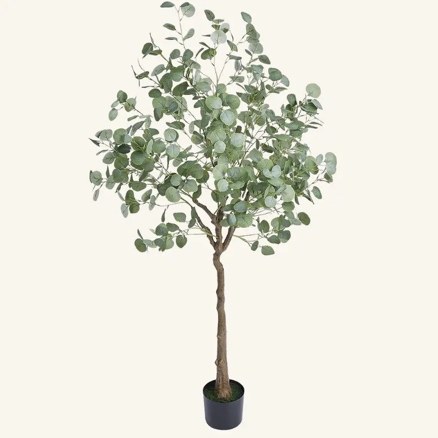 Arbre eucalyptus artificiel haut en pot noir élégant