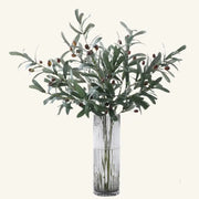Vase en verre transparent à branches d’olivier artificielles aux feuilles argentées