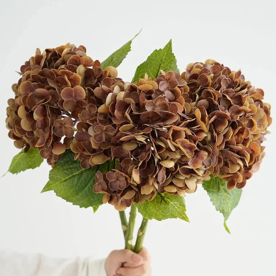 Bouquet de fleurs séchées d’hortensias marron avec feuilles vertes, Fleur Hortensia Marron