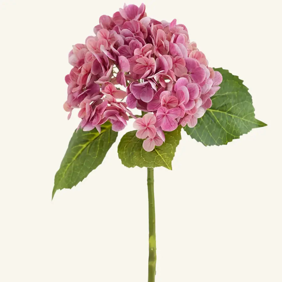 Hortensia artificielle rose délicate aux pétales en couches et feuilles vertes