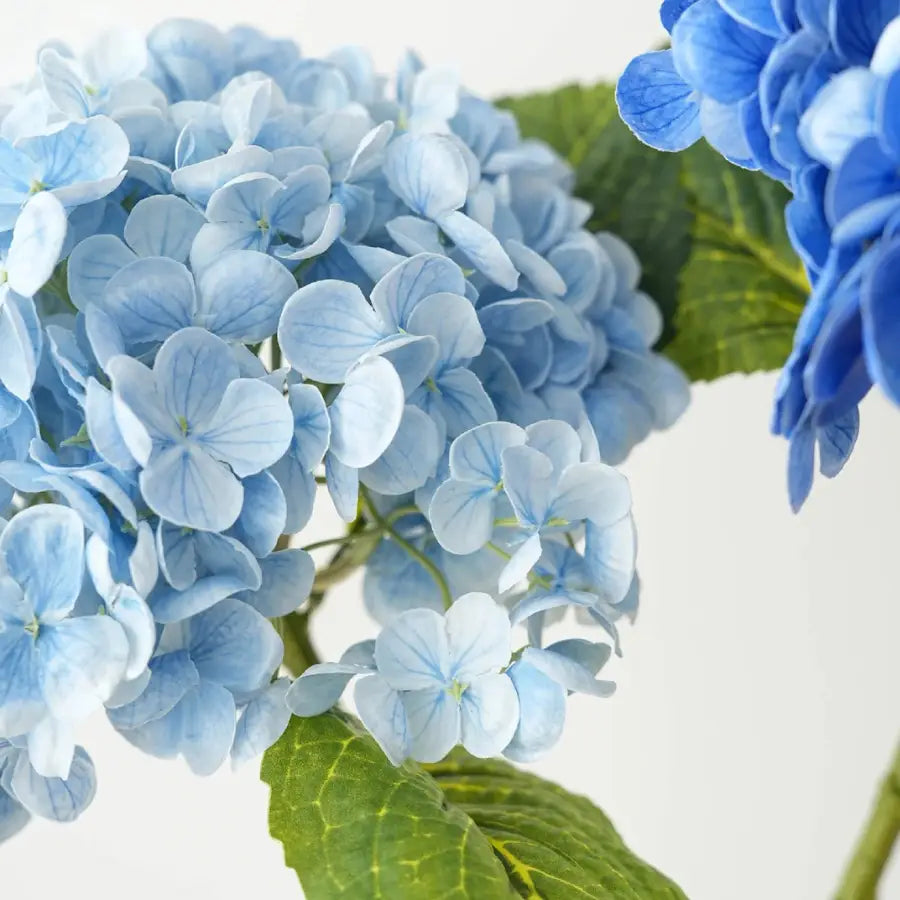 Fleur d’hortensia bleu ciel artificiel, cluster délicat avec feuilles vertes