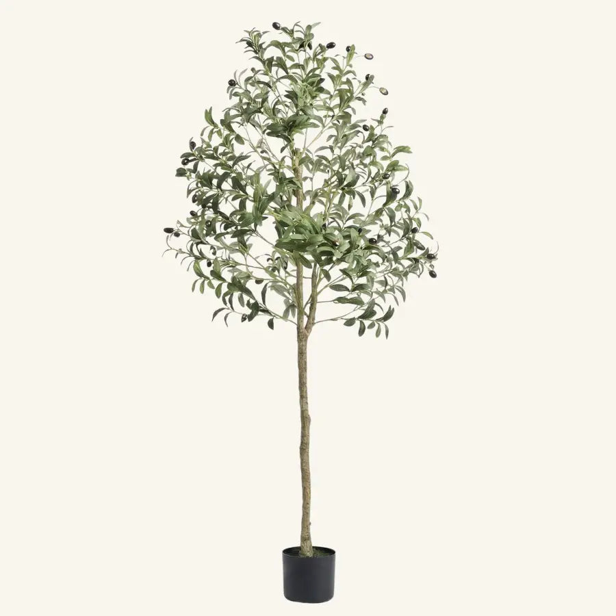Olivier artificiel 150 cm en pot noir avec olives noires