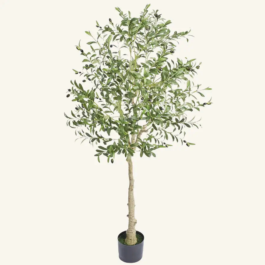 Olivier artificiel 180 cm en pot noir avec olives noires