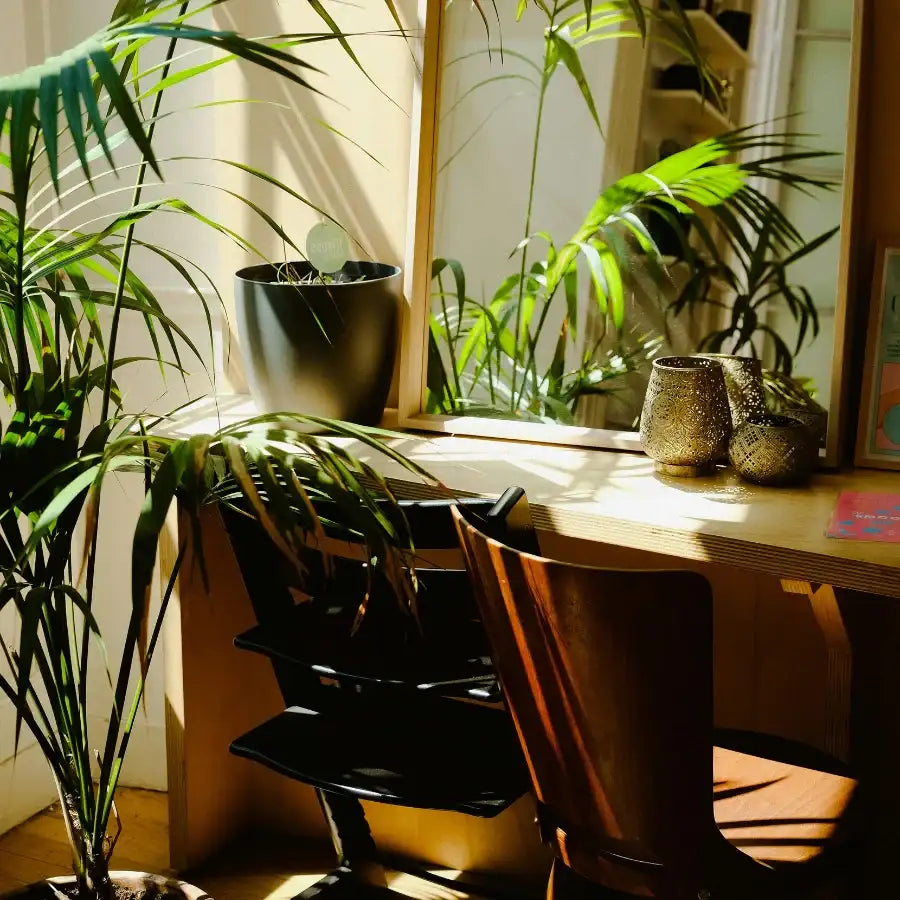 Pot en céramique gris foncé mat avec un petit objet circulaire blanc à l'intérieur