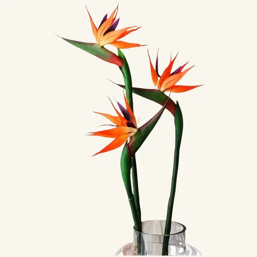 Trois fleurs Strelitzia artificielles orange et violet en vase verre